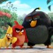 The Angry Birds