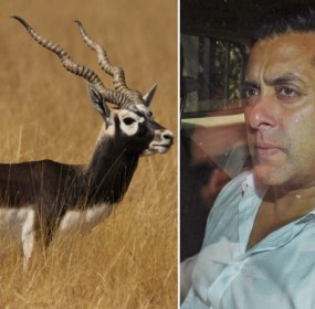 salman-khan-blackbuck-750x500.jpg.pagespeed.ce.JyRfWKjHwK